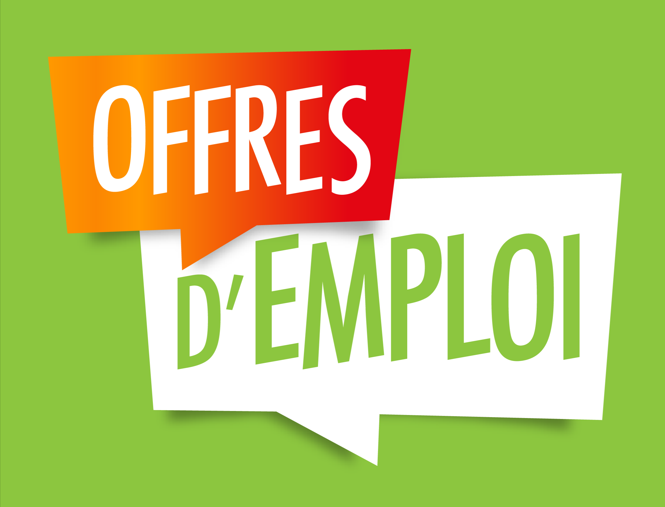 offre d’emploi : Conseiller/e en Insertion Professionnelle